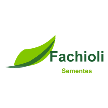 Fachioli