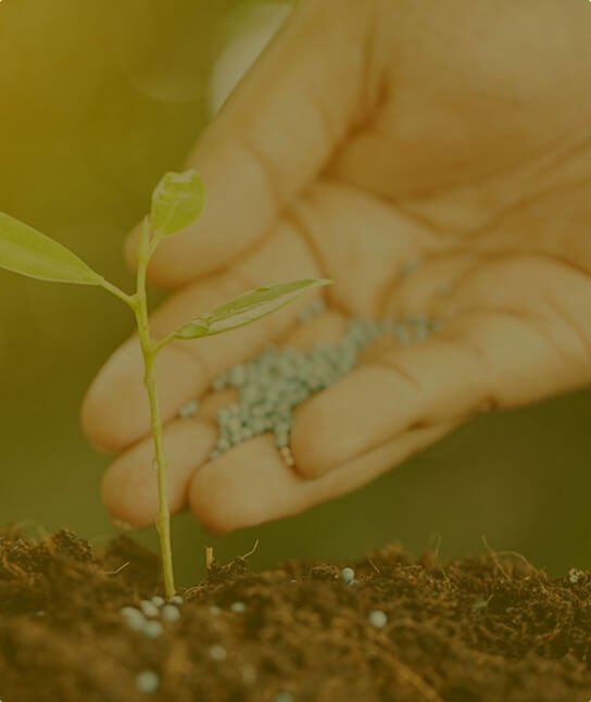 Fertilizantes